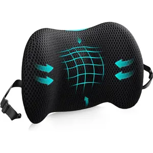 Lumbar Support Pillow for Office Chair Car, Lower Back Pain Relief, Memory Foam Back Cushion with 4D Mesh Cover Adjustable Straps, Ergonomic Back Pillow for Car Bed Gaming
