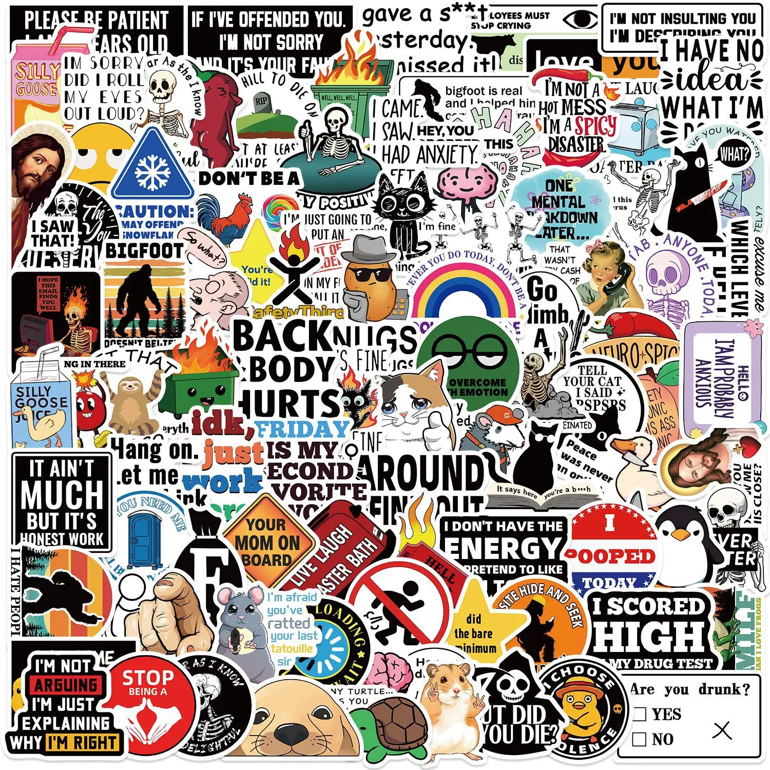 100 Meme Stickers – Funny Vinyl Sticker Pack for Water Bottles, Laptops, Journals, Scrapbooking & Gifts