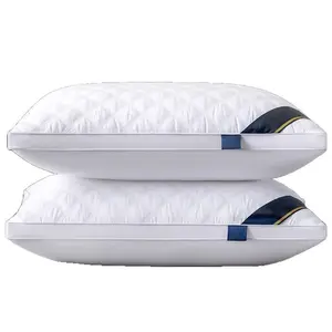 Adult Home Use Feather Silk Pillow Core Single Person Sales Gift Pillow Neck Support Pillow