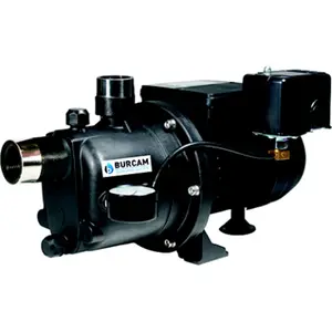 212 MAIN Noryl Shallow Well Jet Pump - 0.75 HP Power, Quiet Operation, Thermoplastic Construction, Pressure Gauge, 0.75Hp Power
