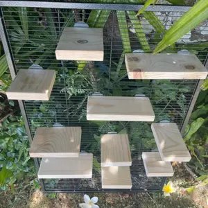 10 Piece Chinchilla Ledges and Platforms for Small Animals - Wooden Ledge with Various Sizes and Designs