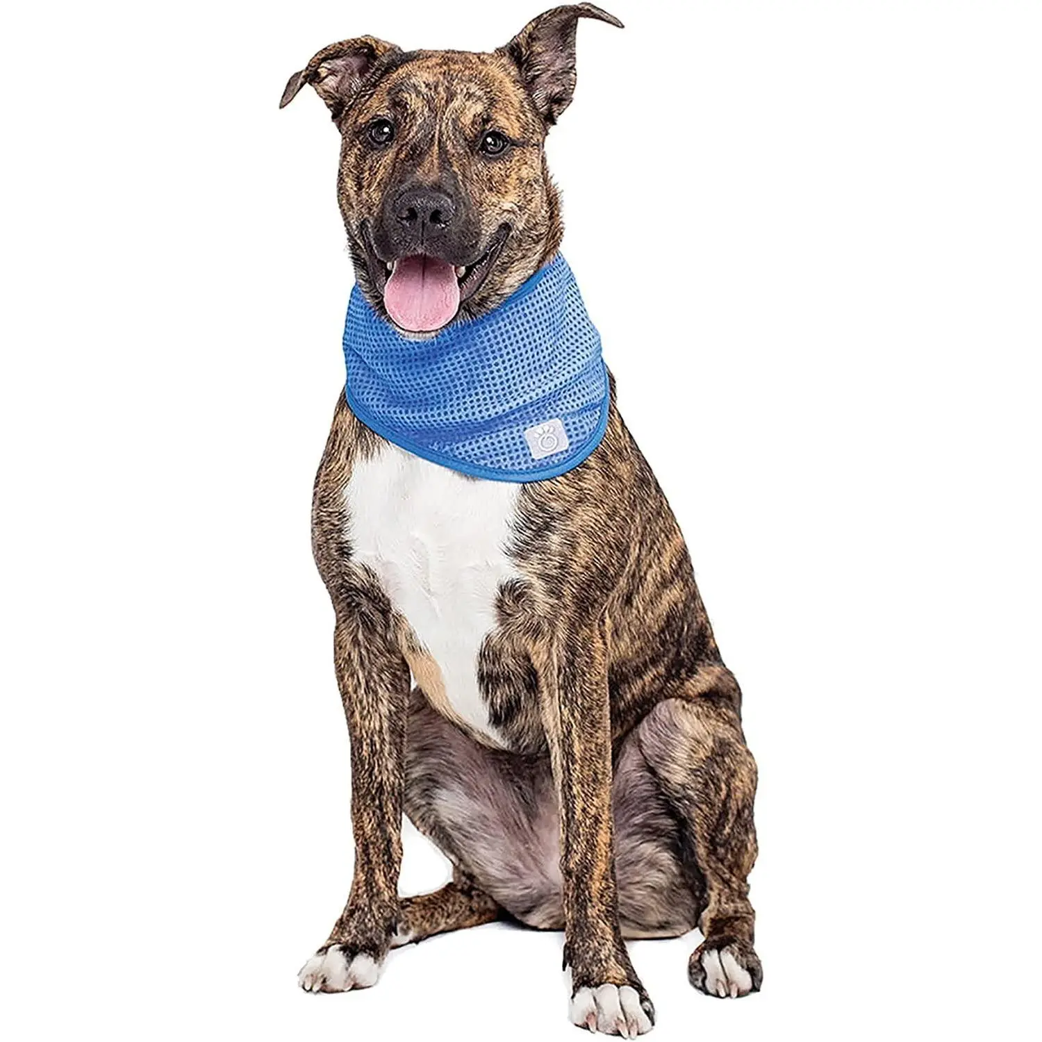 Ice Band Dog Cooling Collars