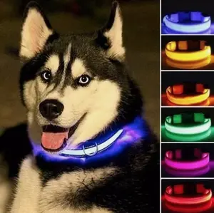 LED Glowing Dog Leash & Collar Set – USB Rechargeable, Nylon Safety Light for Night Walks