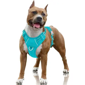 No Pull Large Dog Harness with Front Clip, Reflective, with Handle & ID Pocket - Ocean Blue, L