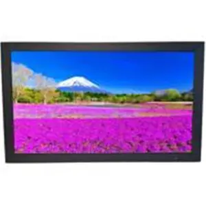 ViewEra  21.5 Metal Case LCD & LED Security Monitor - Black