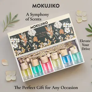 6-piece car air freshener essential oil diffuser set | car hanging diffuser | long-lasting fragrance car perfume accessory, enhancing the experience of life, suitable for gift giving