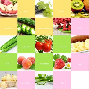 Automatic Facial Mask Maker DIY Natural Fruit Vegetable Collagen Face Mask Machine