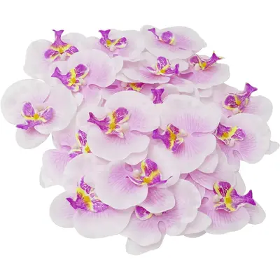 Asdarkorchid TikTok Shop - Main Image