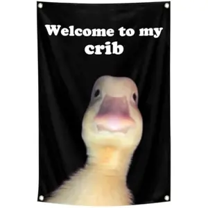 Welcome To My Crib Flag Funny Tapestry, Indoor Outdoor Wall Art Tapestry for Bedroom Teens Room Decoration Living Room Bedroom