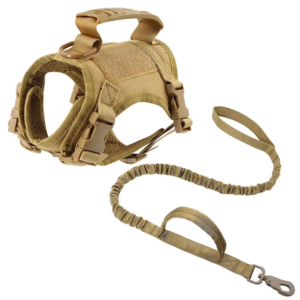 Brown Harness and Leash