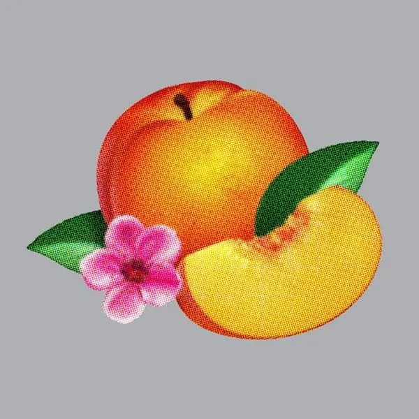 Phoenix Bankrupt English Band Vinyl Record - LP (Long Play) with 10 New Songs, Vinyl Records