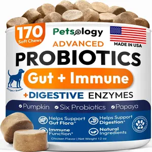 Dog Probiotics – Gut & Skin Support