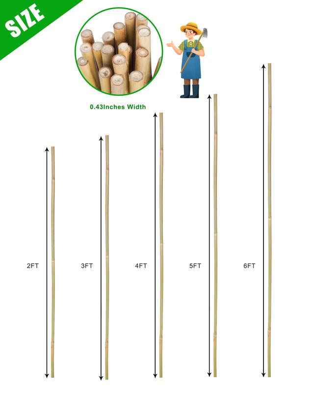 2FT-6FT Natural Bamboo Plant Stakes, Garden Support for Tomatoes & Flowers