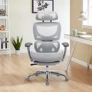 COLAMY AERIX Futuristic Office Chair