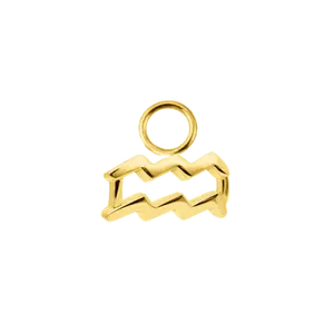 Zodiac Charm