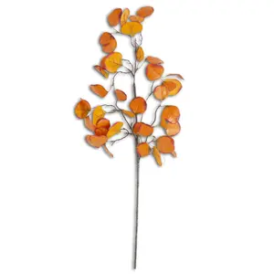 Gumdrop Eucalyptus Stem