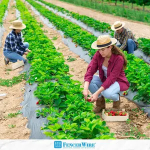 Fencer Wire 4 mil Black Plastic Sheeting, Roll of Heavy-Duty Plastic Sheet, Polyethylene Vapor Barrier Plastic Sheeting, Black Painters Tarp, Black Plastic Tarp, Multi-Purpose