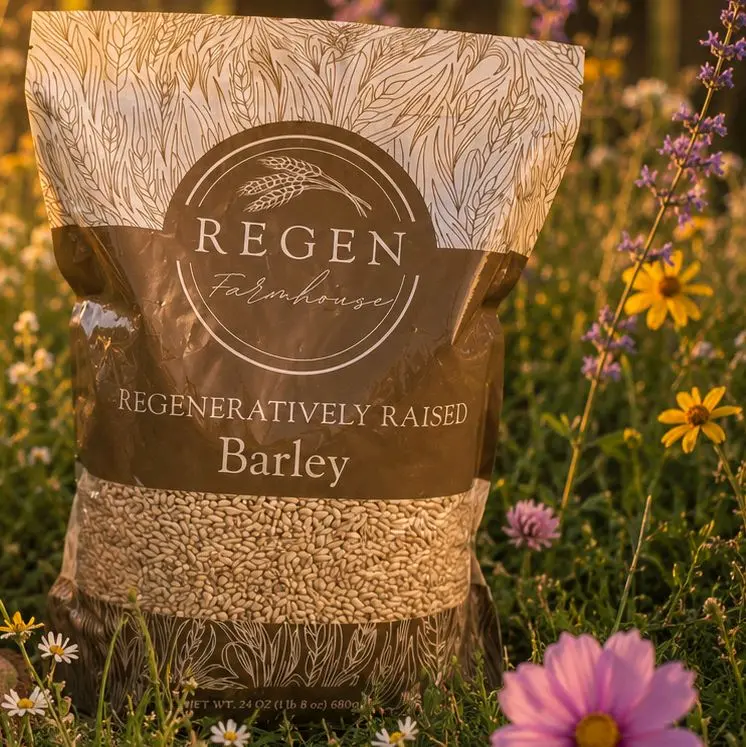 High Fiber Bread Barley (Berry) 5lbs High Fiber Bread Barley (Berry) 5lbs