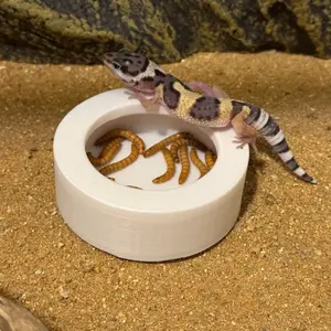 Lizard Bowl 3D Printed Size, Pet Supplies, Amphibian Feeding Tool, Amphibian Sunbathing Platform, 3D Printed Animal Stand