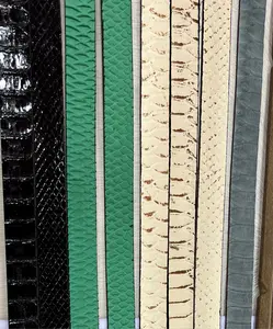 Python Hat Band