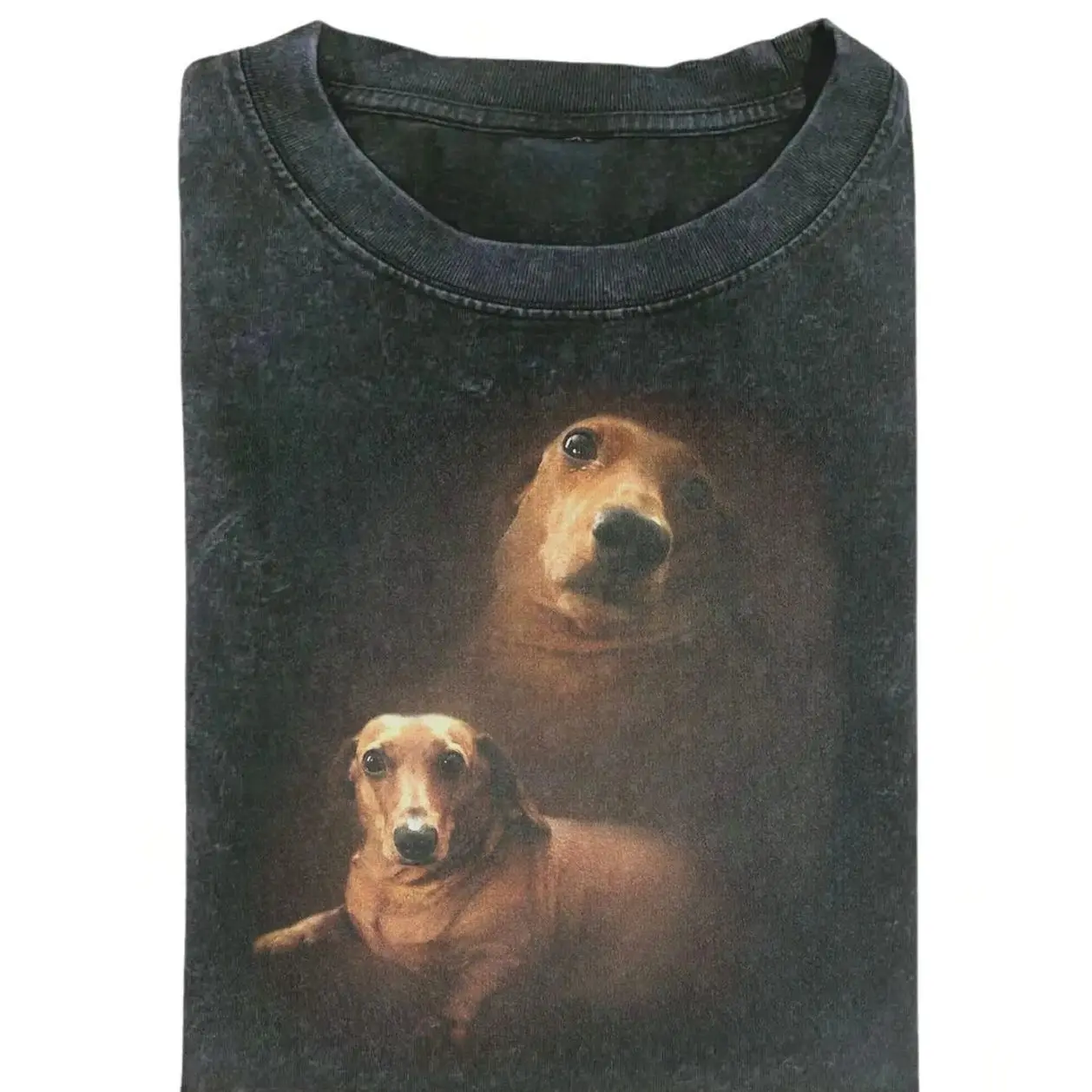 The Dachshund Dog Portrait Meme Graphic Tee, Vintage Retro Funny Parody T-Shirt, Unisex Cringe Cute Humor Shirt
