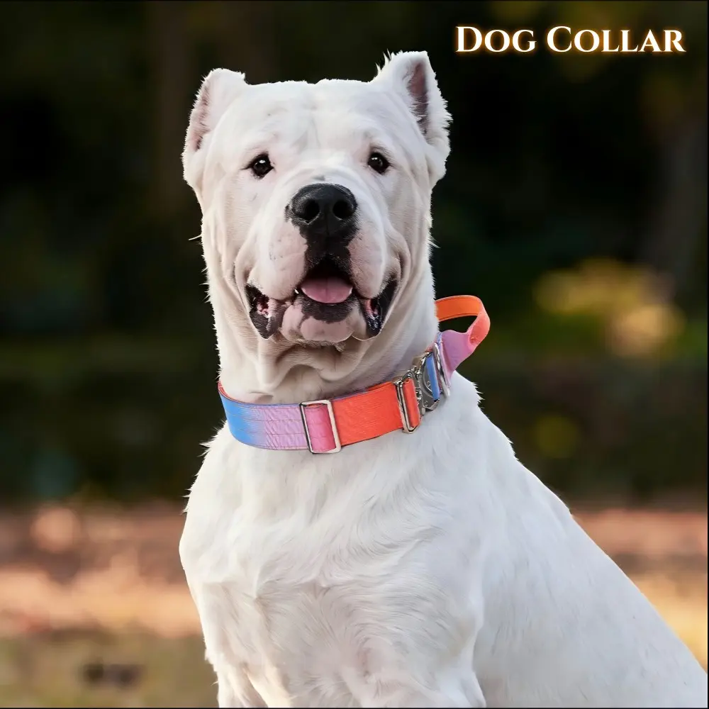 Gradient Tactical Dog Collar with Control Handle, Anti-Pull Rust-Proof for Medium Large Dogs