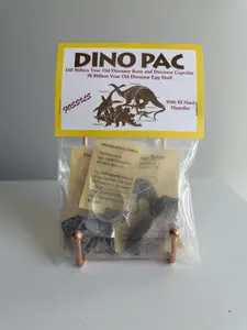 Educational Dino Pac