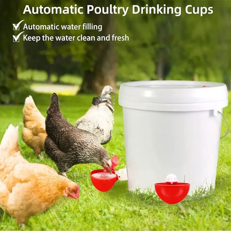 Professional Chicken Water Cup, Large Chicken Feeder, Auto Chicken Water Bowl, Clean, Automatic, Suitable for Poultry, Ducks, Chickens, Geese, Turkeys, Rabbits, Birds