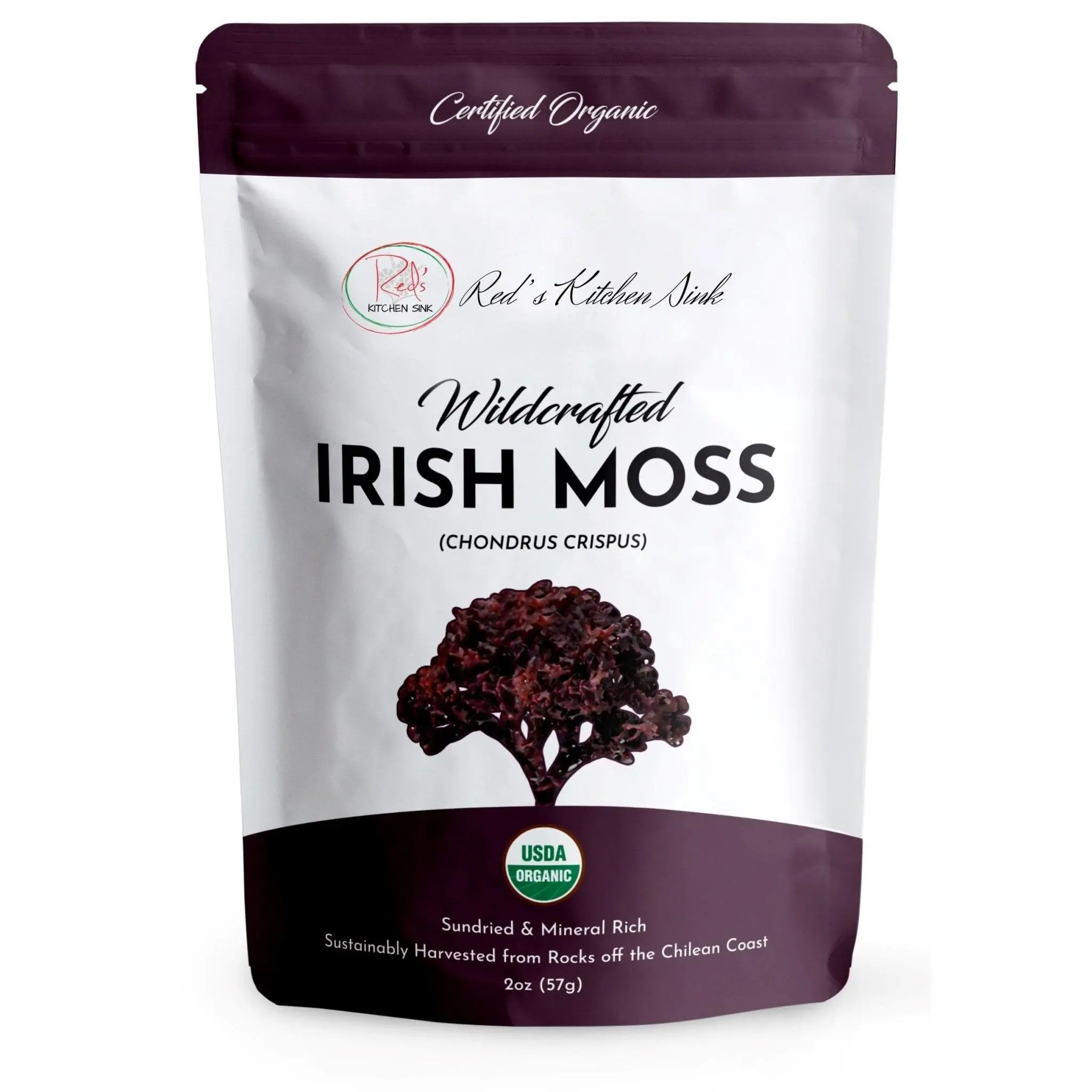 Wildcrafted Irish Moss (Chondrus crispus)