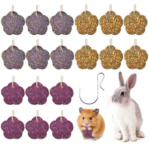 18PCS Rabbit Chew Cakes Hanging Chew Sticks & Cakes Timothy Hay Carrot Strawberry Treat for Bunny Chinchilla Guinea Pig Hamster Small Pets Molar Snack Toy