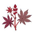 Revive Thermal Hair Protector Spray – UV Hair Protection Spray to Restore Vitality – Paraben Free Heat Protectant Hairspray for Hair Dryer – UV Protectant Spray for Natural & Colored Hair