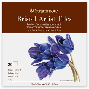 400 Series Artist Tiles Bristol Paper Pad, Smooth Finish (2-Ply), Glue Binding, 20 Sheet, 6x6 inch, 1 Count