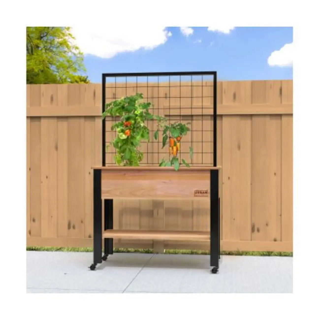 Panacea Products A77 81483 Cedar Elevated Planter