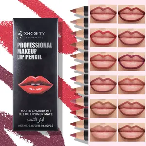 Long Lasting Set, Lip Liner Kit, 12pcs Waterproof Lip Pencils, Matte Finish, Perfect for Women's Daily Use & Special Occasions