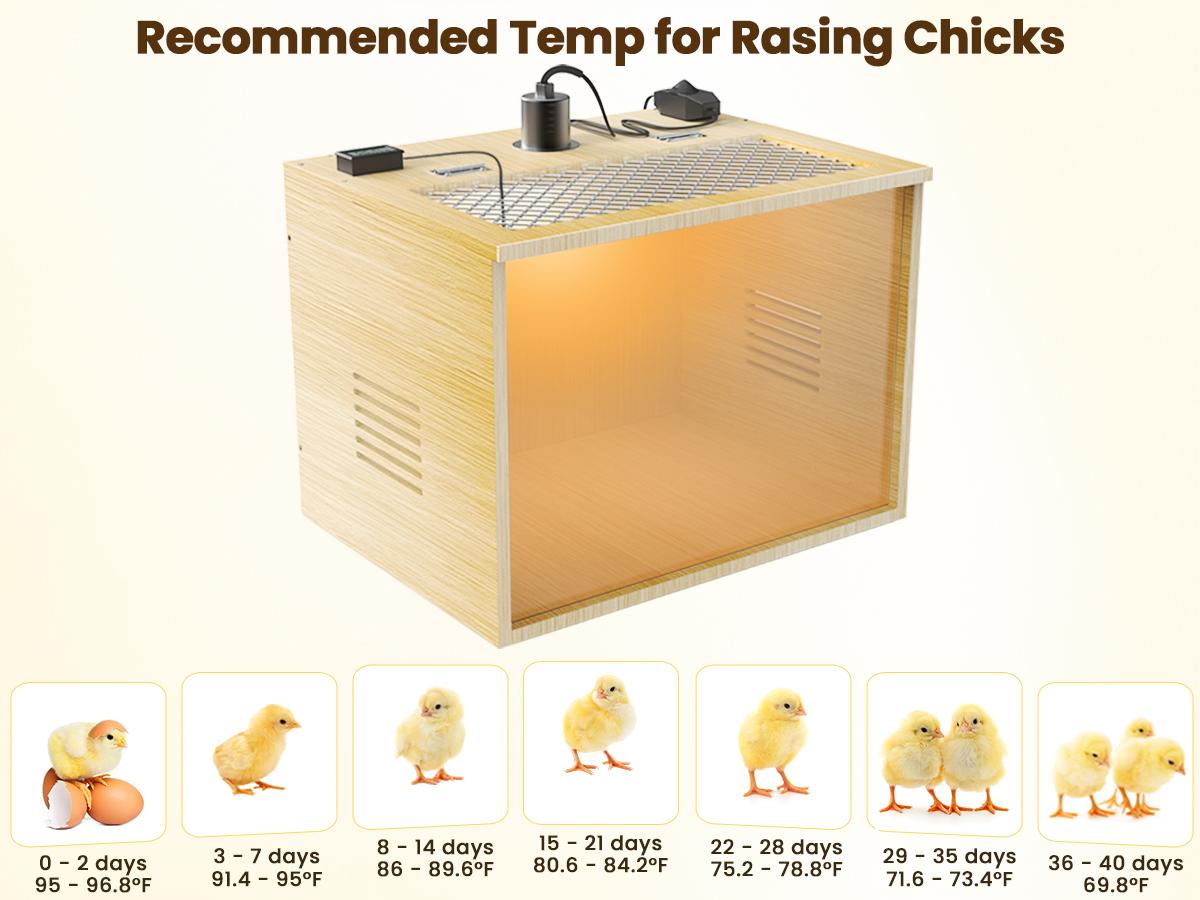 Brooder Box for Chicks, 16 Inch Wooden Chicken Brooder Box with 75W Heat Lamps, Thermometer and Tin Foil, Poultry Breeding Kit, Ideal for 5-7 Newborn Chicks Ducks Quails Hamsters, Small