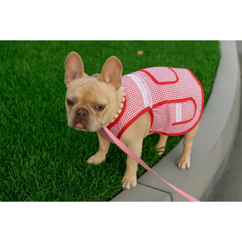 🇲🇽 Dogñitas – The Abuelita Mandil for Your Pup 🐶