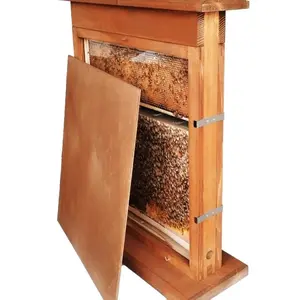Observation Hive / Bee hive / Nuc 4 Frame Observation Hive  / Apiary
