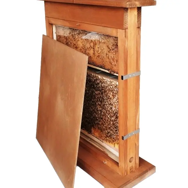 Observation Hive / Bee hive / Nuc 4 Frame Observation Hive  / Apiary