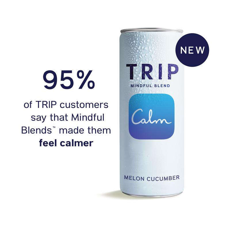 TRIP Variety Pack - Premium Light Botanical Spritzes with Magnesium, Ashwagandha, Lion's Mane & L-Theanine - Low Calorie & Vegan - 12 Oz, Mindful Blends 12 Pack