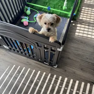 PetTrove - Plastic Pet Playpen, Durable Puppy Playpen with Lockable Door and Non-Slip Bottom, Portable Indoor Outdoor Puppy Pen