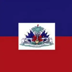 Haiti Flag Square Cotton Bandanas