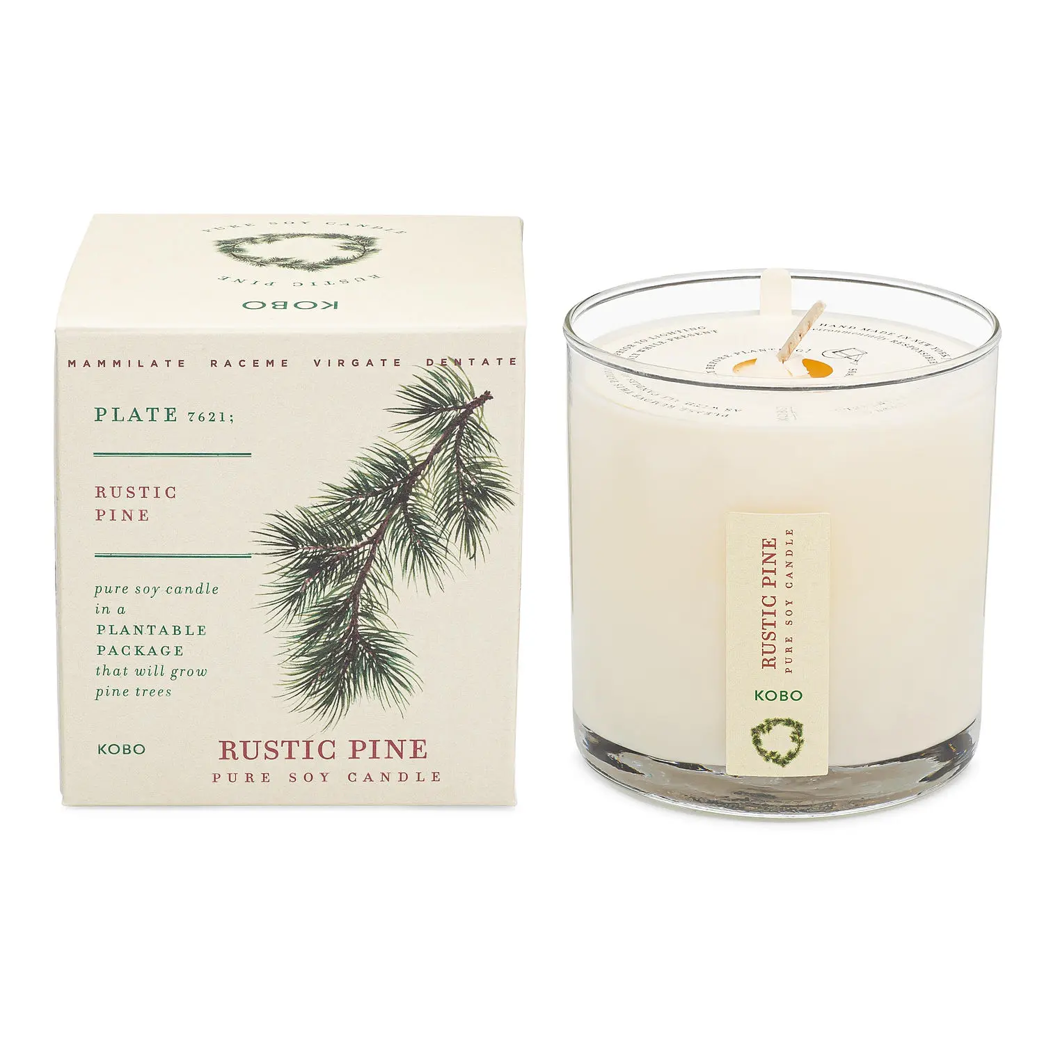 Kobo Rustic Pine By Kobo Plant The Box Pure Soy Candle For Unisex