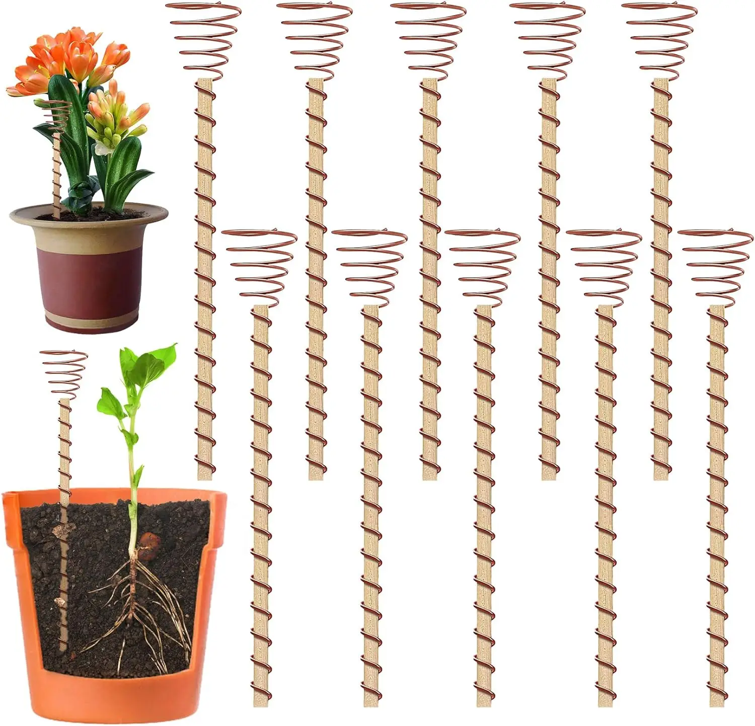 Electroculture 10pcs 12" Copper Coil Antennas Plant Stakes for Growing Healthy Plants and Vegetables Garden Supplies