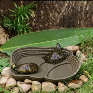 Turtle Bathing Basin with Climbing Platform Dual-Sided Decorative Basin for Aquatic Turtle Care Feeding and Drinking Basin for Semi-Aquatic Turtles