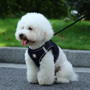 Cat Harness and Leash, Escape Proof Soft Adjustable Vest Harnesses for Cats, Breathable Mesh Cat Harness with Leash, Pets  Accessories for Dogs Cats, Supplies for Outdoor Walking