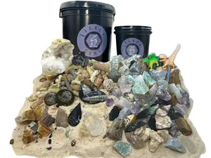Small Fossil Mining Bucket - Quart Bucket - 4-5 lbs Total - Over 12 Different Types of Fossils and Natural Crystals