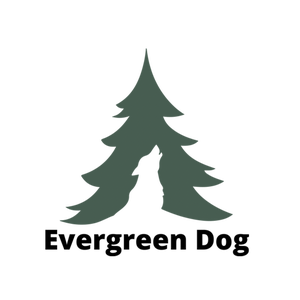 Evergreen Dog