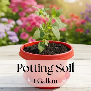 1 gal potting soil