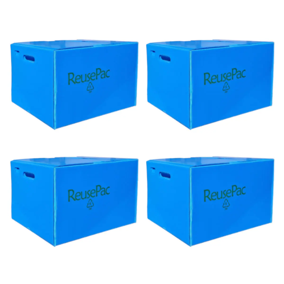 Reusable & Foldable Boxes