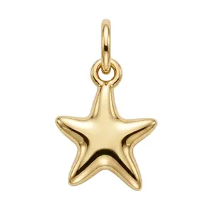 Star Mini Charm
